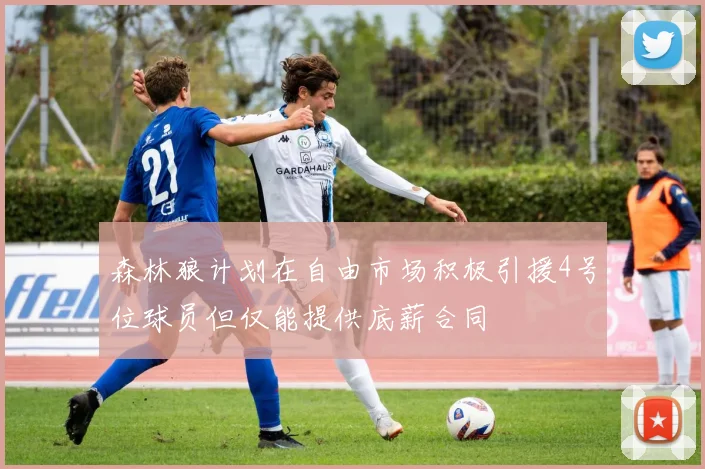 森林狼计划在自由市场积极引援4号位球员但仅能提供底薪合同