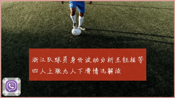 浙江队球员身价波动分析王钰栋等四人上涨九人下滑情况解读